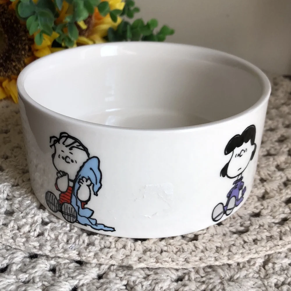 Peanuts Character Ceramic PET Bowl